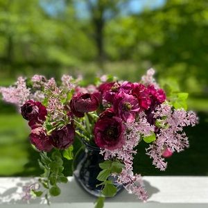 Meet your Posher, Abigail